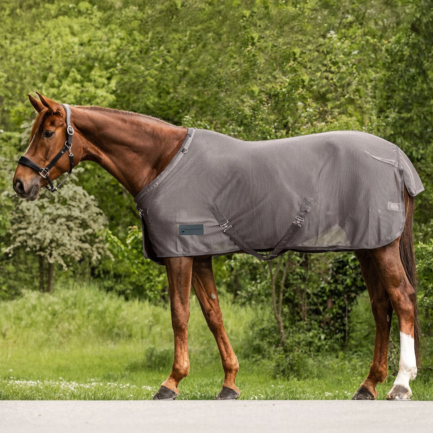Waldhausen Comfort Fly Rug with Crossover Straps - Image 2
