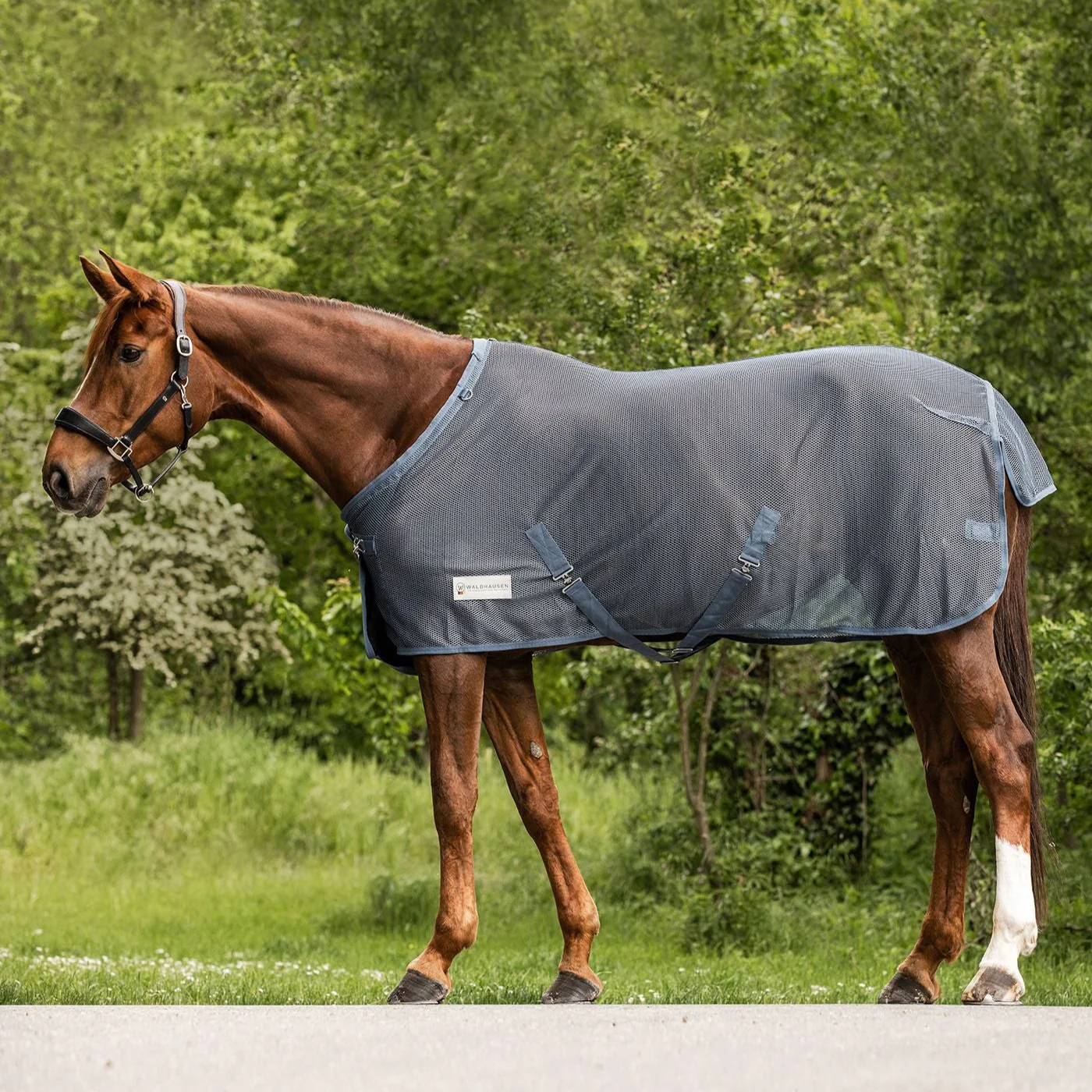 Waldhausen Comfort Fly Rug with Crossover Straps - Image 3