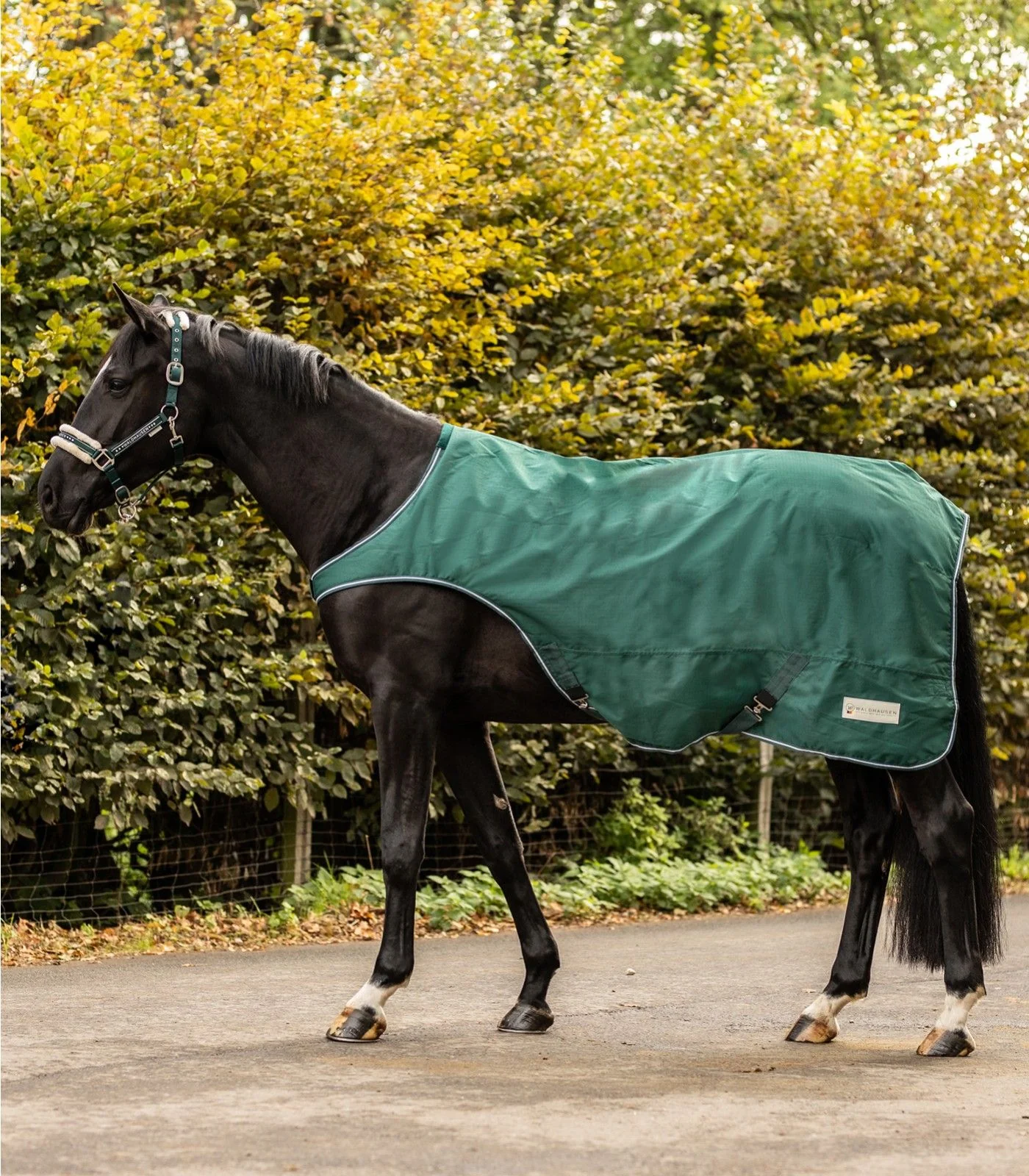 Waldhausen Comfort Horse Walker Rug - Image 2