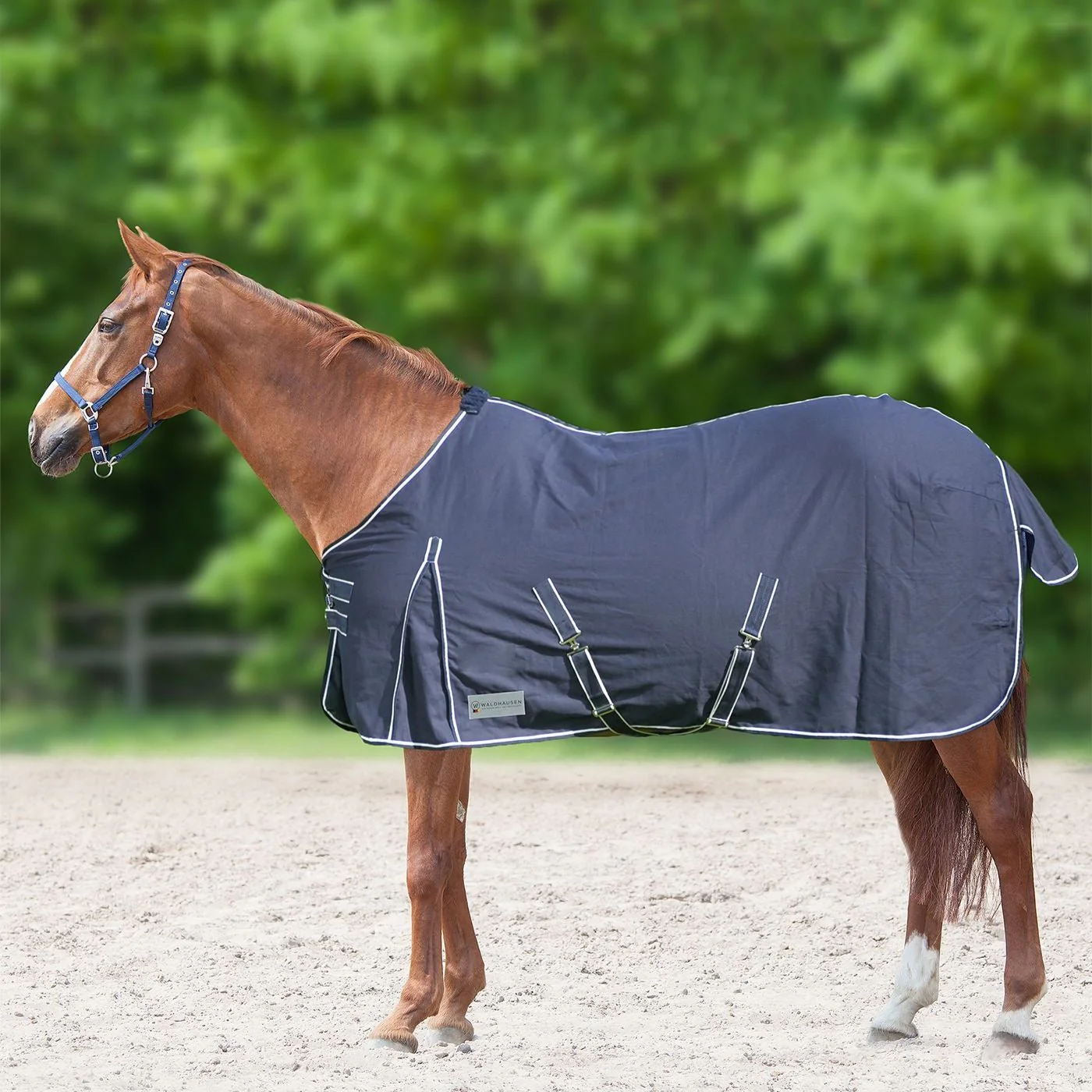 Waldhausen Comfort Light Stable Blanket