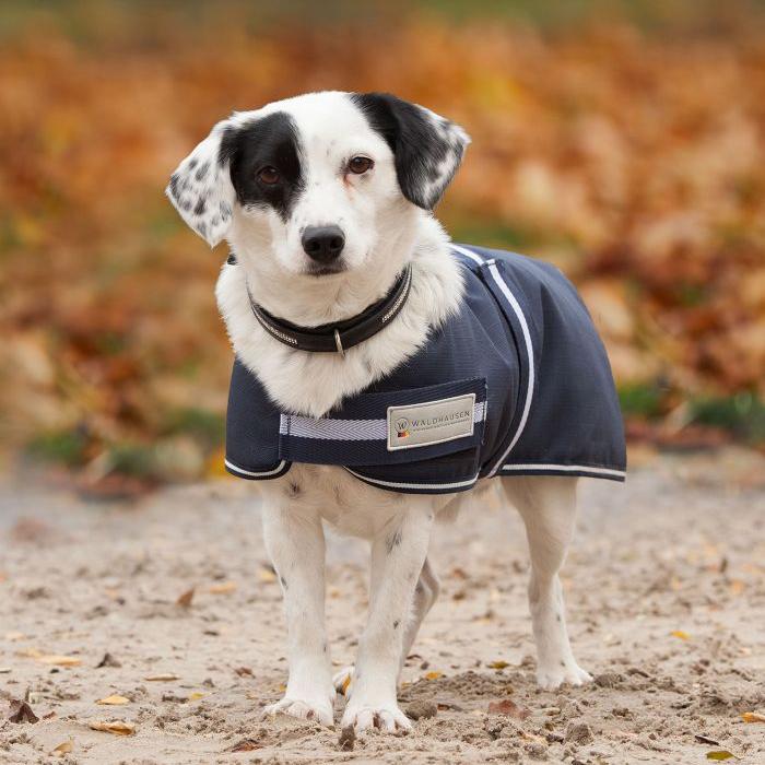 Waldhausen Comfort Line 200g Outdoor Dog Rug - Image 2