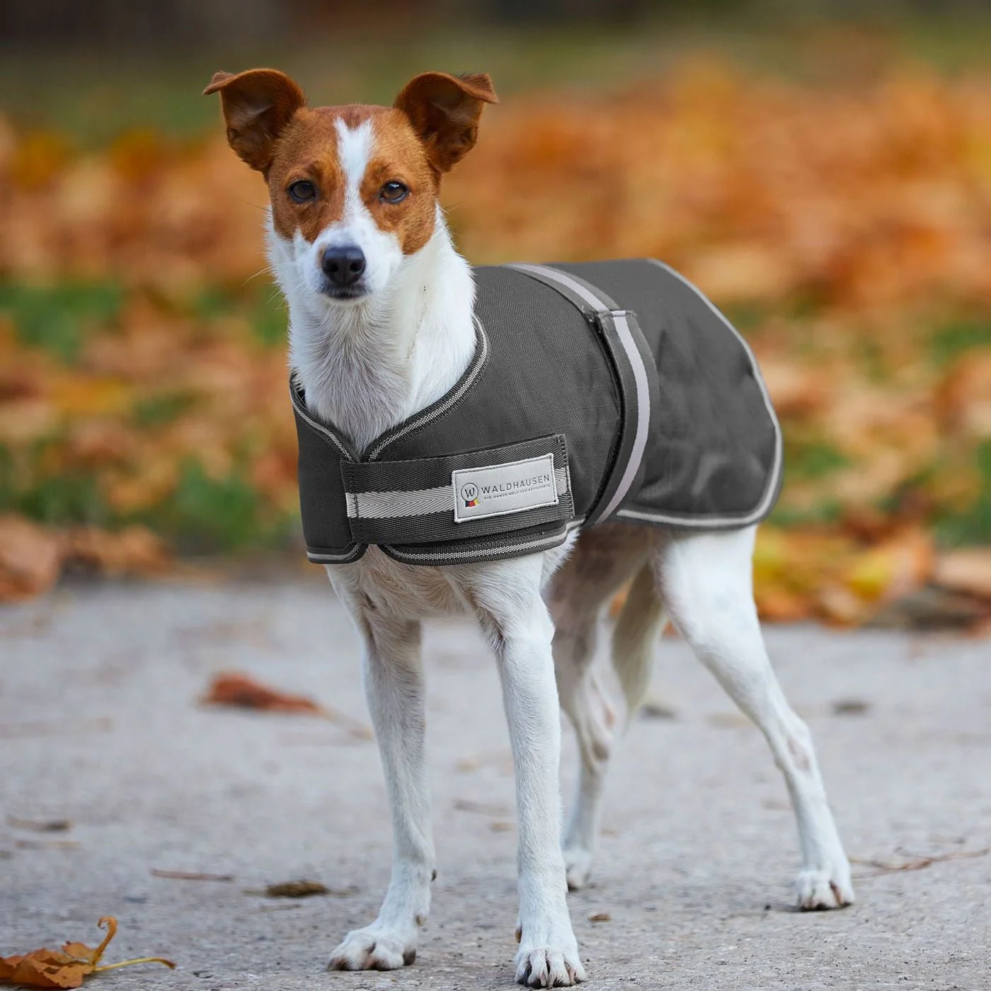 Waldhausen Comfort Line 200g Outdoor Dog Rug - Image 3