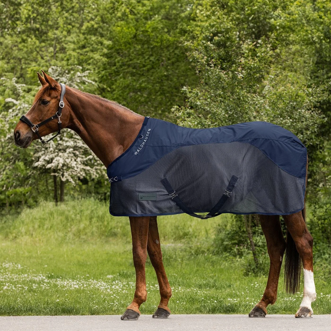 Waldhausen Comfort Rainsheet-Fly Rug