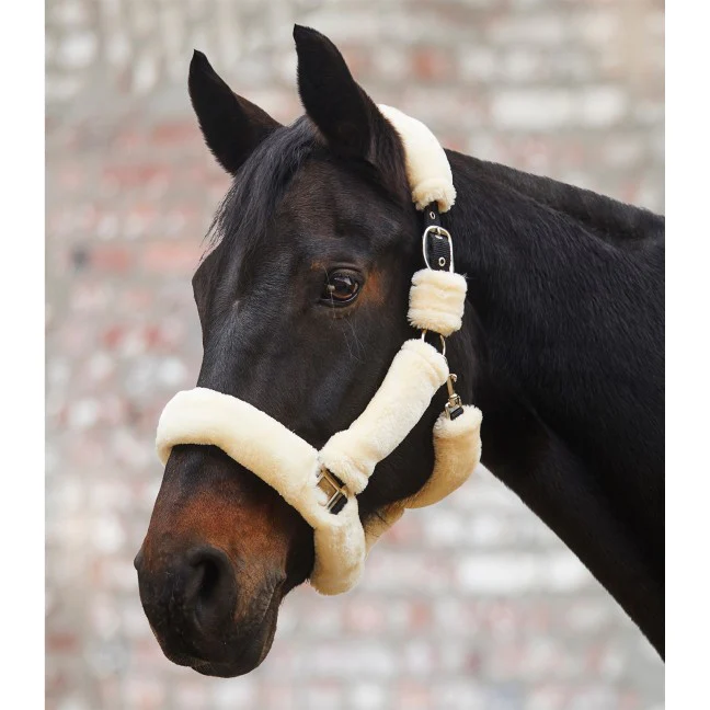 Waldhausen Cozy Halter - Image 3