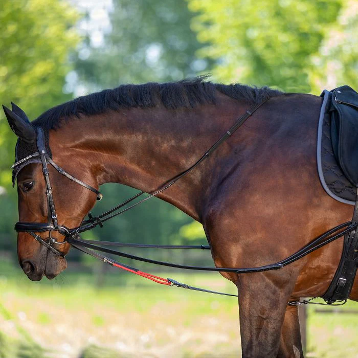 Waldhausen Draw Reins W-Trainrein - Image 2