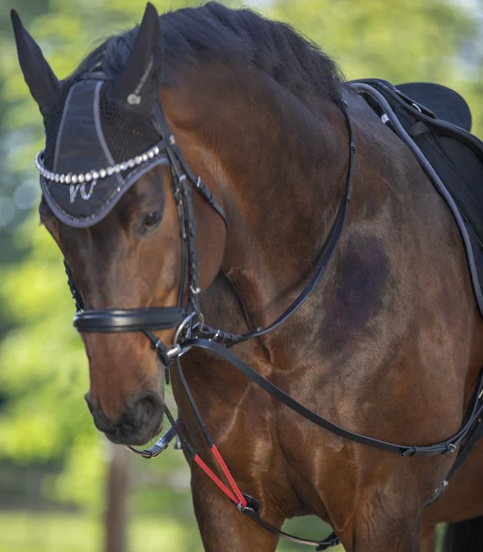 Waldhausen Draw Reins W-Trainrein - Image 3
