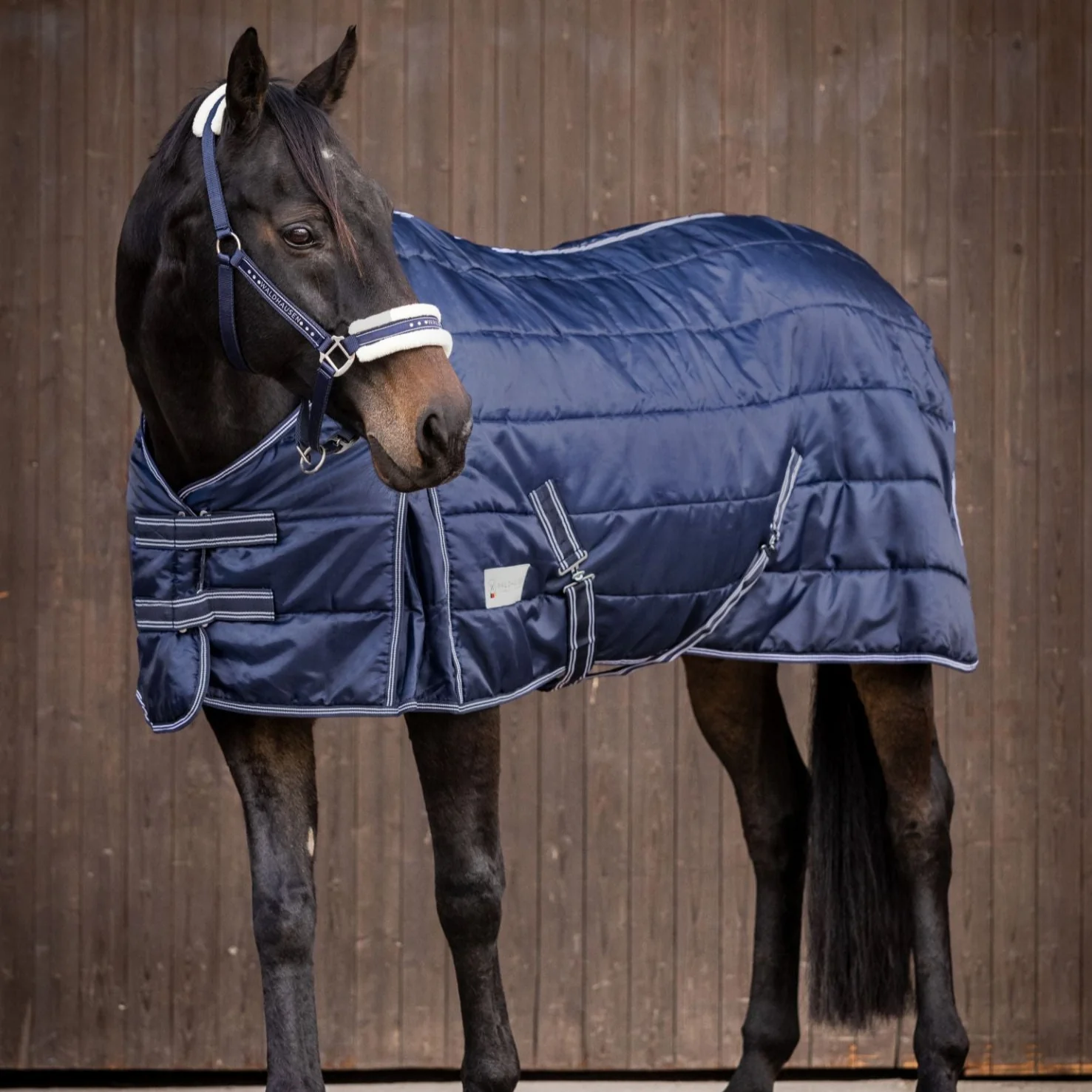 Waldhausen Economic 200g Stable Rug - Image 4