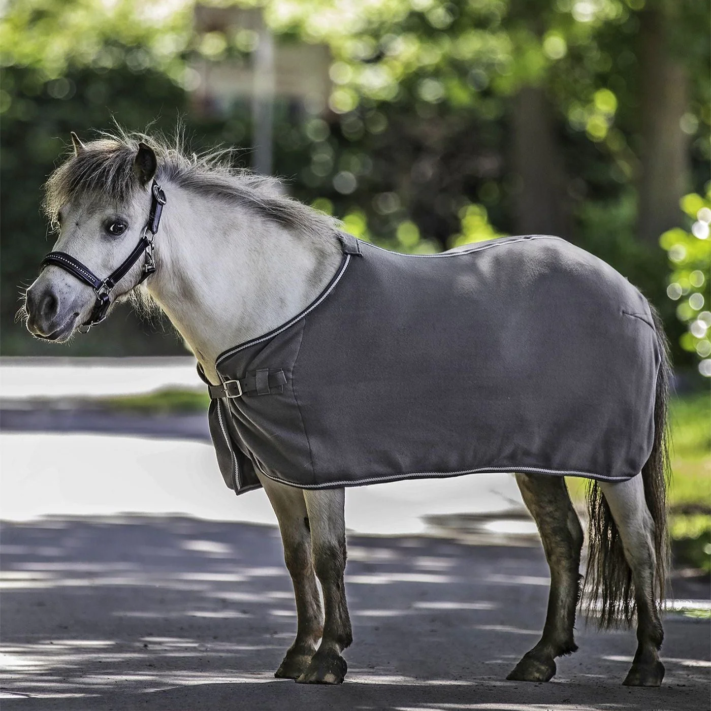Waldhausen Economic Fleece Rug - Image 3