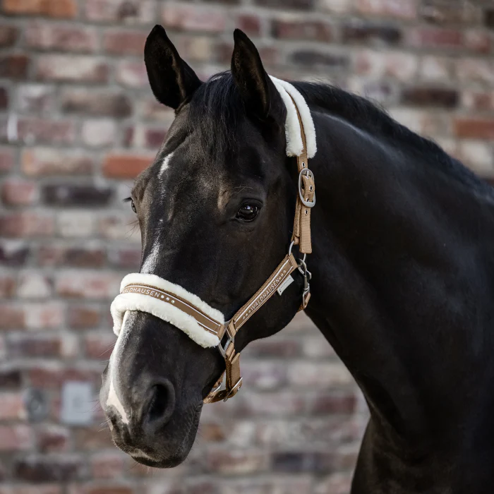 Waldhausen Elegant Halter - Image 11