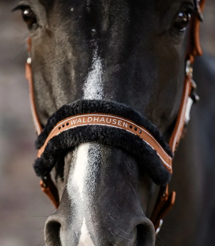 Waldhausen Elegant Halter - Image 14