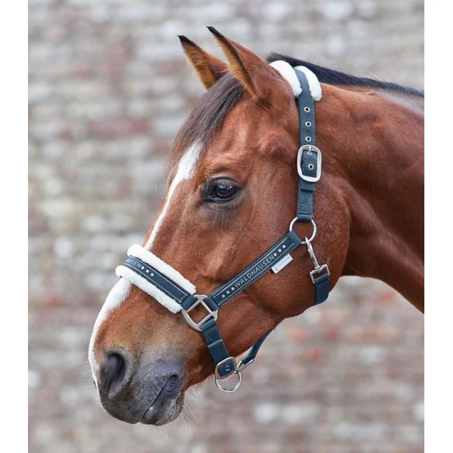 Waldhausen Elegant Halter - Image 4