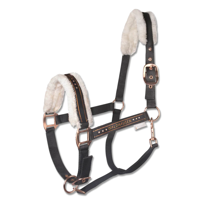 Waldhausen Elegant Halter - Image 5