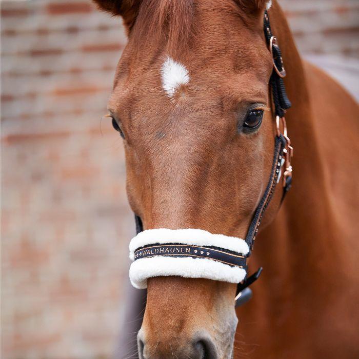 Waldhausen Elegant Halter - Image 6