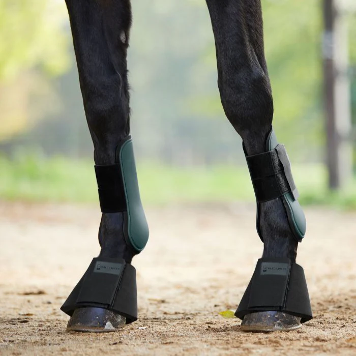Waldhausen Esperia Tendon Boots - Image 4
