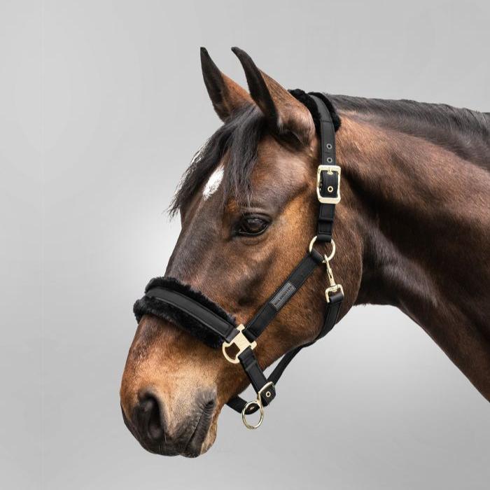 Waldhausen Exclusive Halter - Image 2