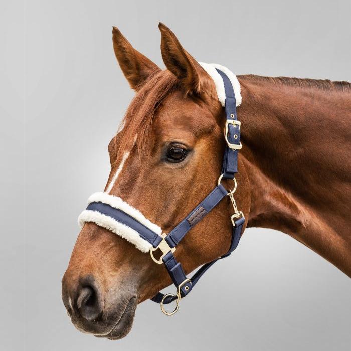 Waldhausen Exclusive Halter - Image 5