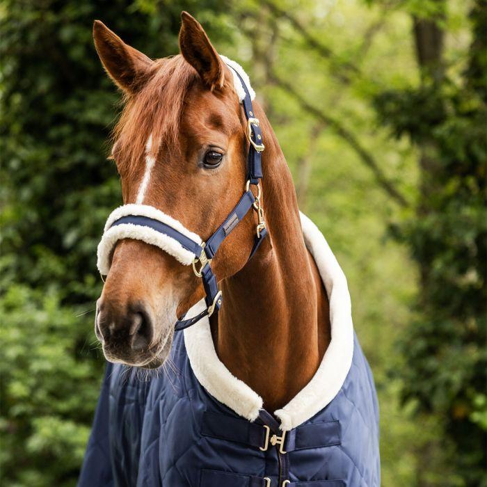 Waldhausen Exclusive Halter - Image 6