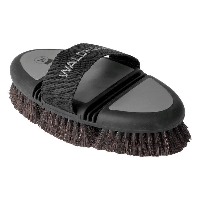 Waldhausen Flex Body Brush, horsehair