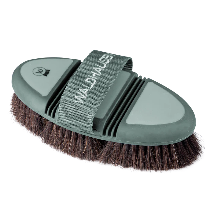 Waldhausen Flex Body Brush, horsehair - Image 3