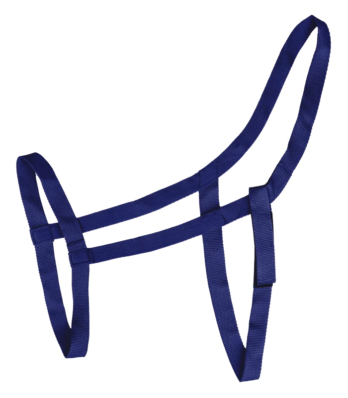 Waldhausen Grazing Halter - Image 5