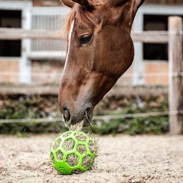 Waldhausen Hayball - Image 2