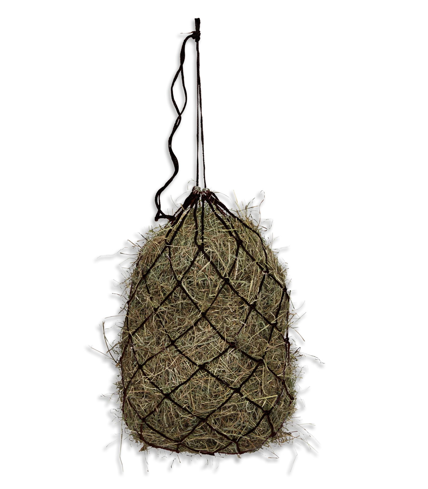 Waldhausen Haynet