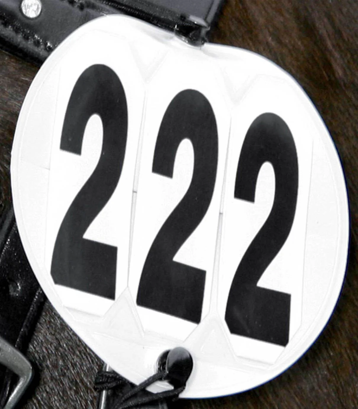 Waldhausen Head Number Round Pair