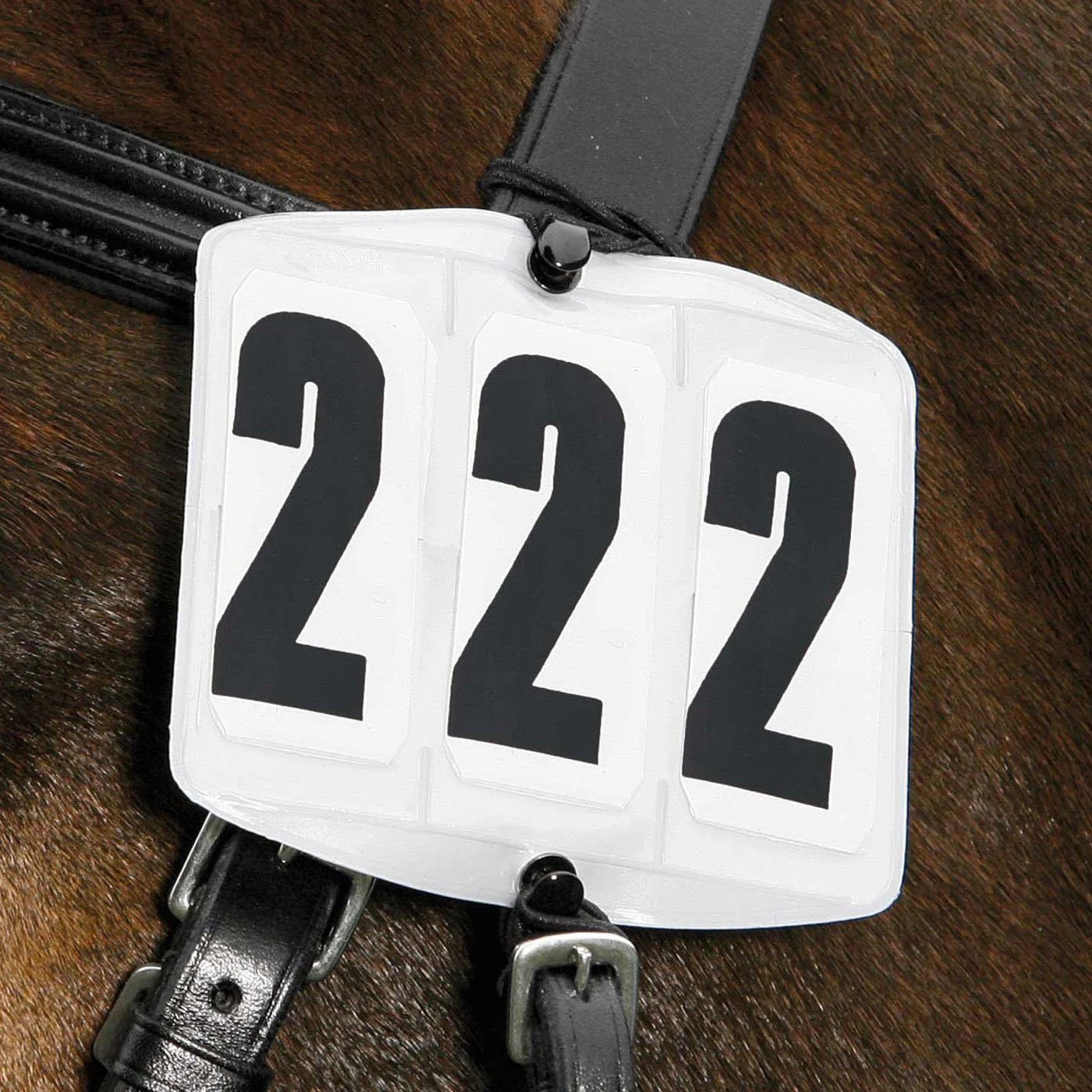 Waldhausen Head Numbers Rectangular