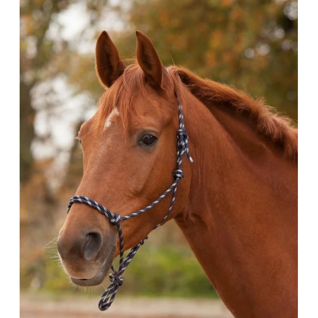 Waldhausen Knotted Halter - Image 3