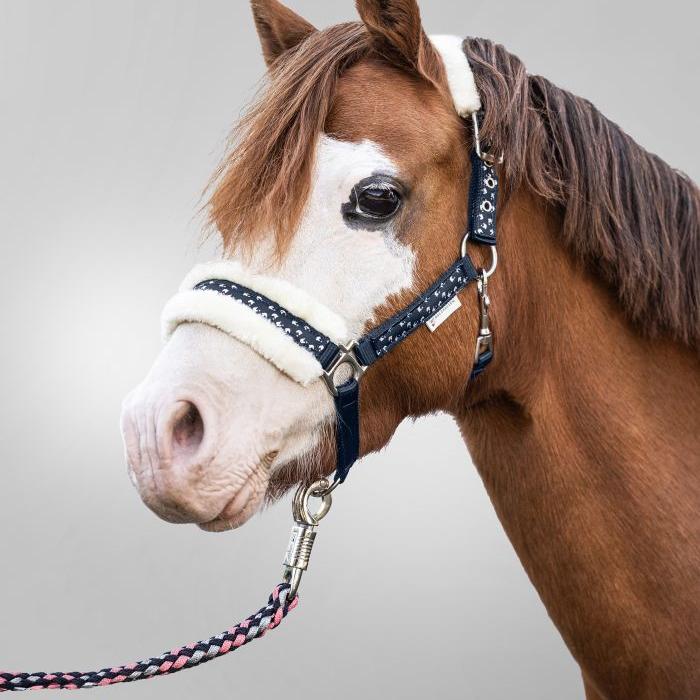Waldhausen Lucky Halter Set - Image 2