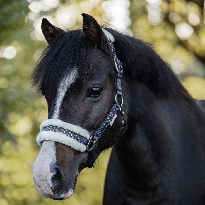 Waldhausen Lucky Halter Set - Image 3