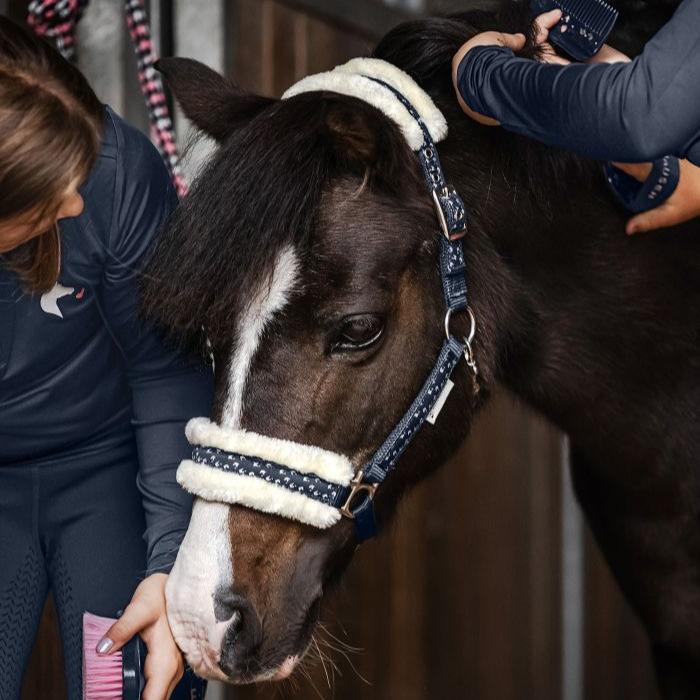 Waldhausen Lucky Halter Set - Image 4