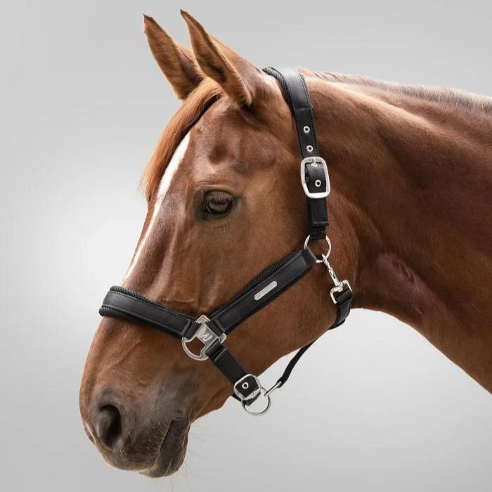 Waldhausen Mesh Halter - Image 2