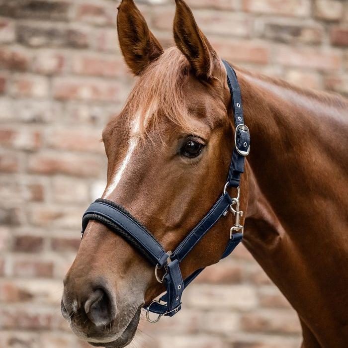 Waldhausen Mesh Halter - Image 4