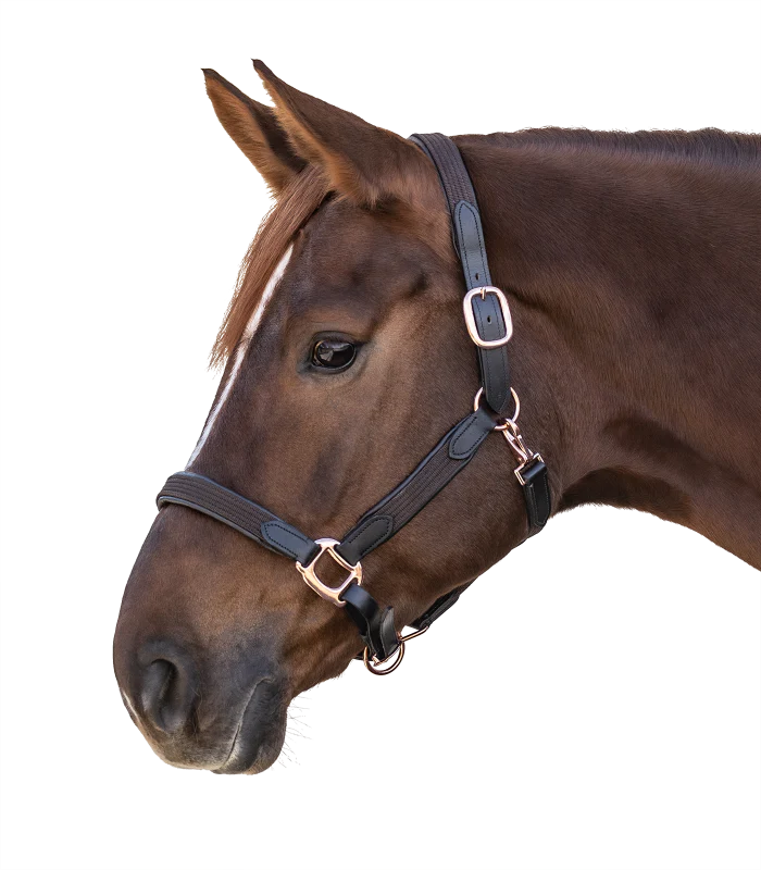STAR MIX Halter - Image 3