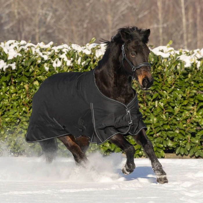 Waldhausen Nordic 50g Turnout Rug - Image 3