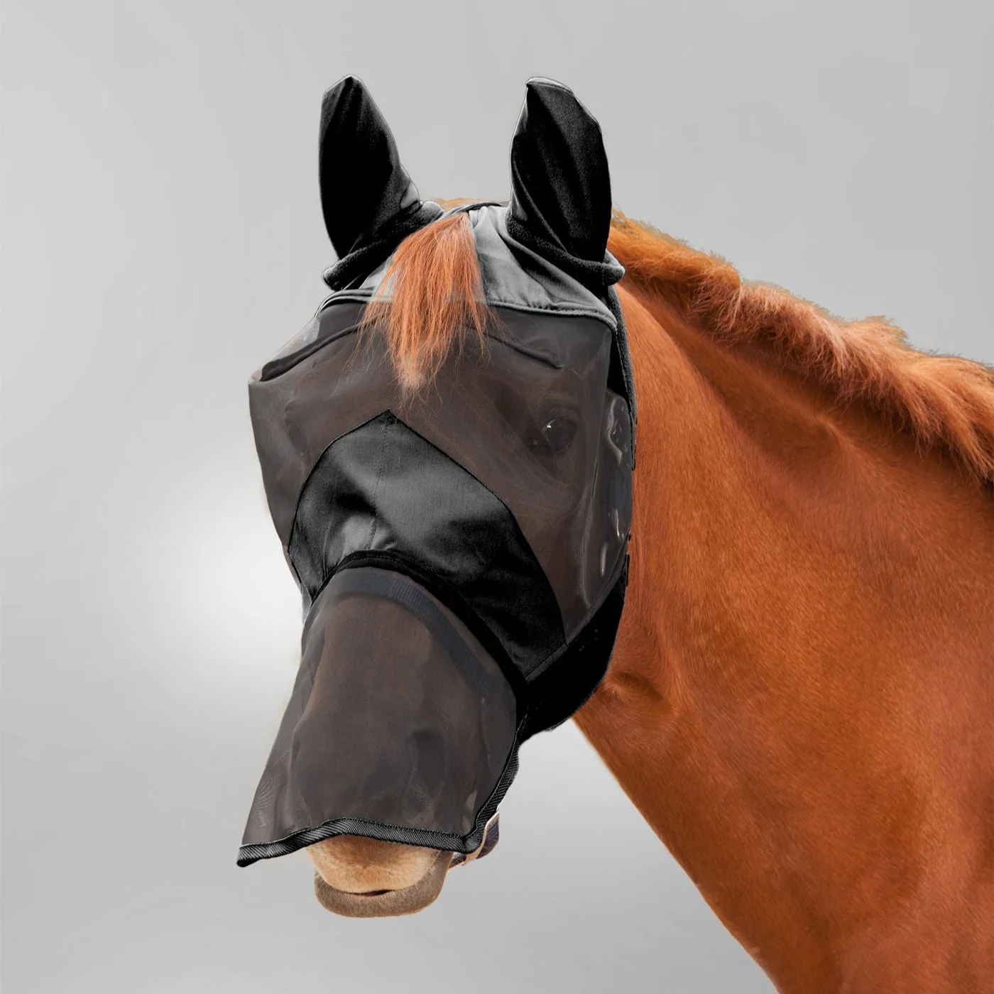 Waldhausen Premium Fly Mask with Ear and Nose Protection