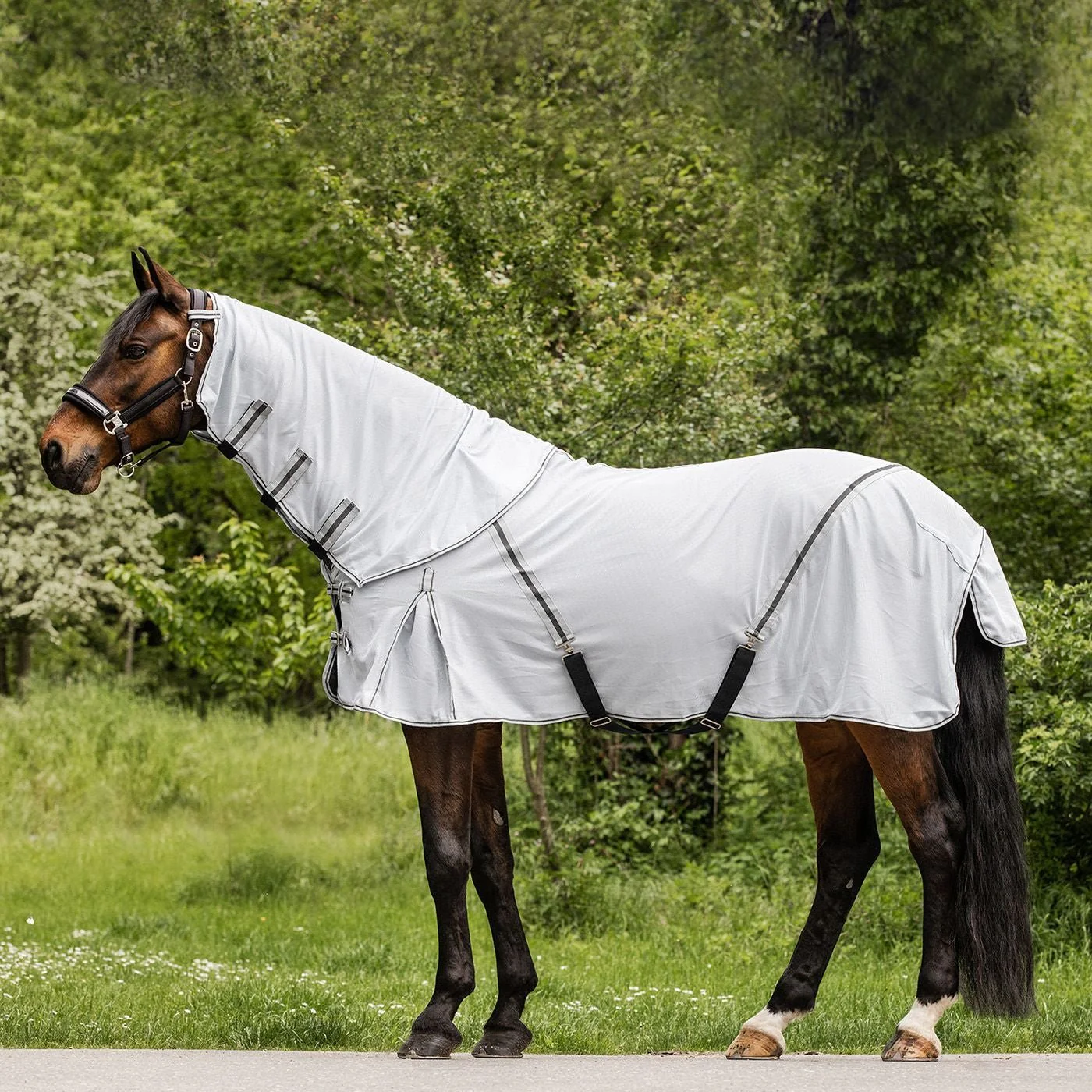 Waldhausen Protect Detachable Neck Fly Rug