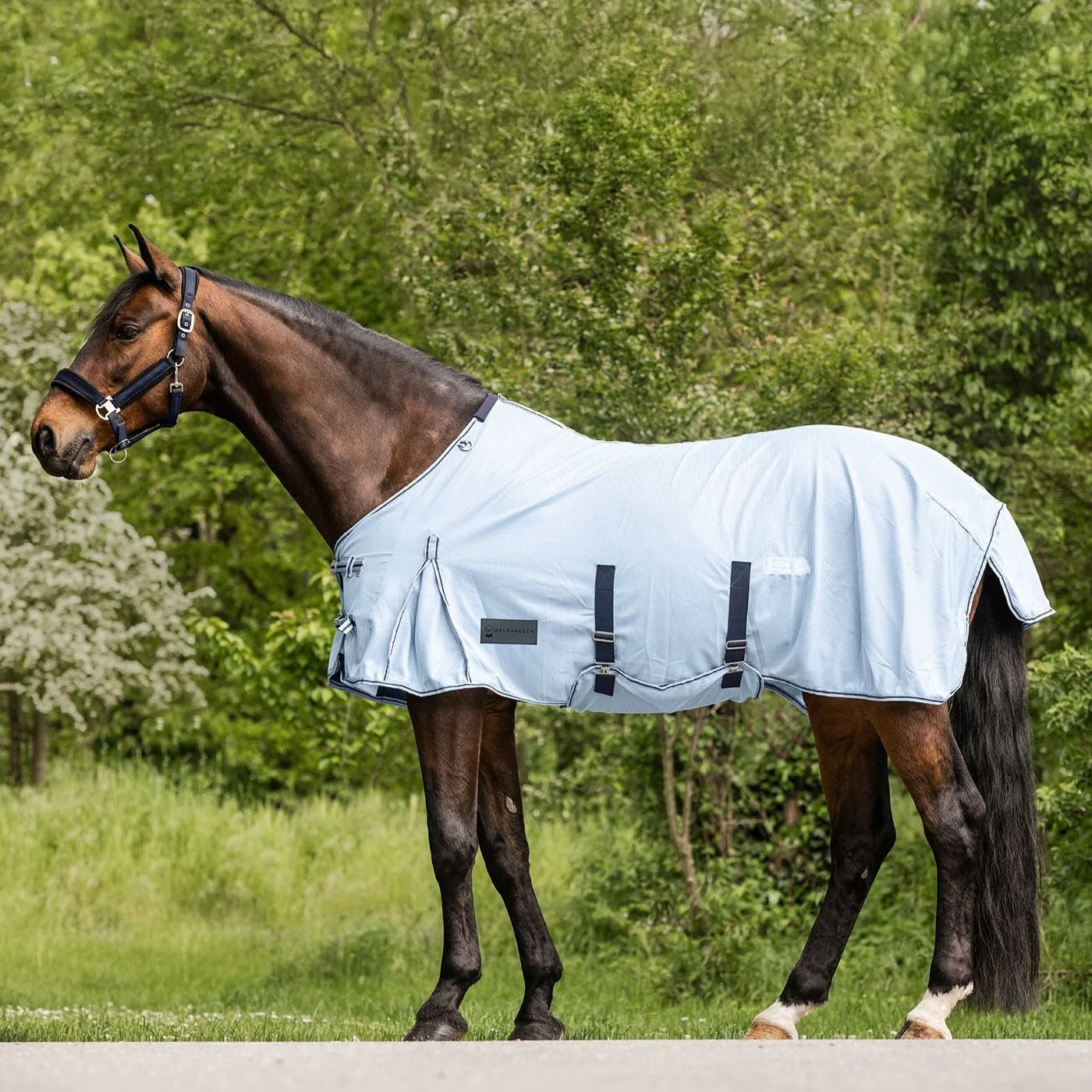 Waldhausen Protect Fly Sheet with Belly Band - Image 3