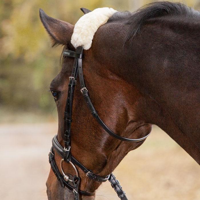 Waldhausen Real Lambskin Noseband - or Headpiece-Cushioning - Image 3