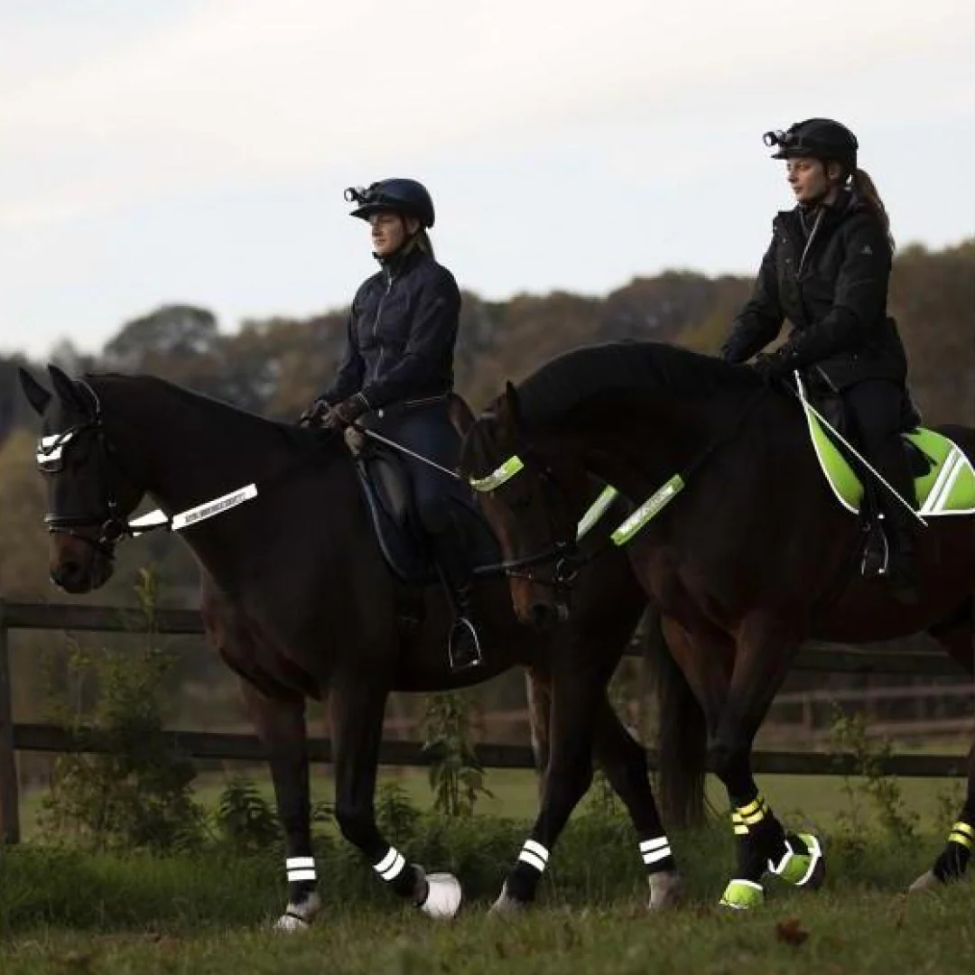Waldhausen Reflex Bridle Set - Image 2