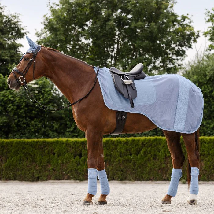 Waldhausen Rom Excercise Rug