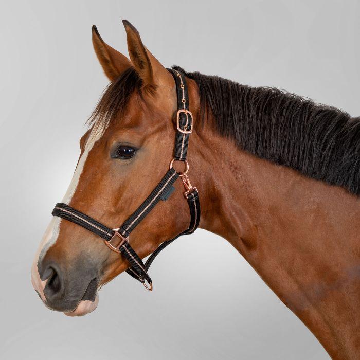 Waldhausen Rosé Halter - Image 2
