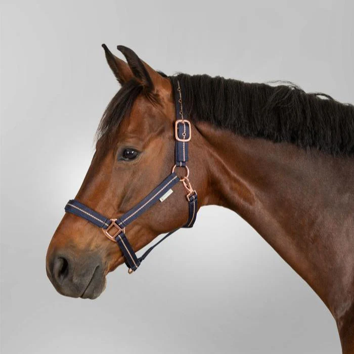 Waldhausen Rosé Halter - Image 4