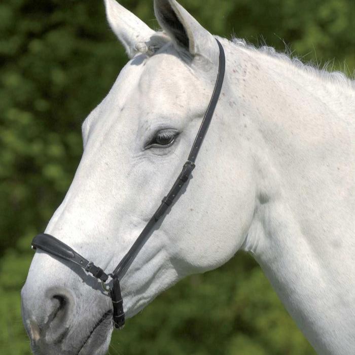 Waldhausen S-Line Drop Adjustable Noseband - Image 2