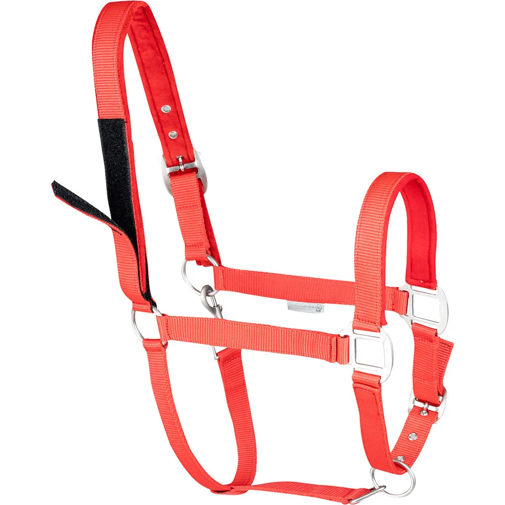 Waldhausen Safety Halter - Image 2