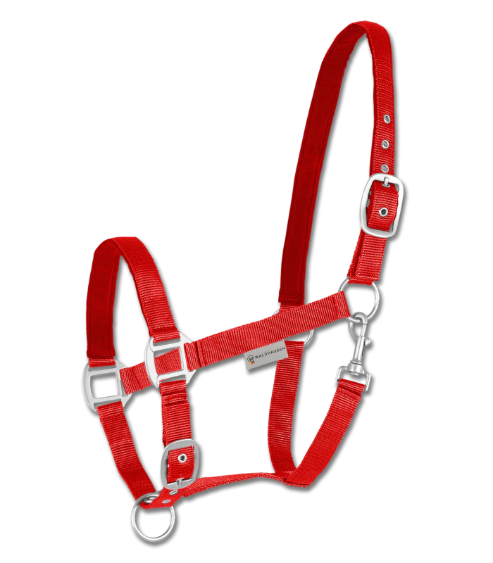 Waldhausen Satin Perlon Halter - Image 2
