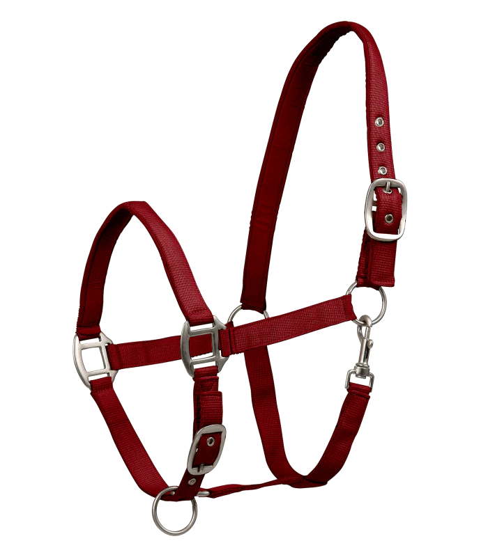 Waldhausen Satin Perlon Halter - Image 4