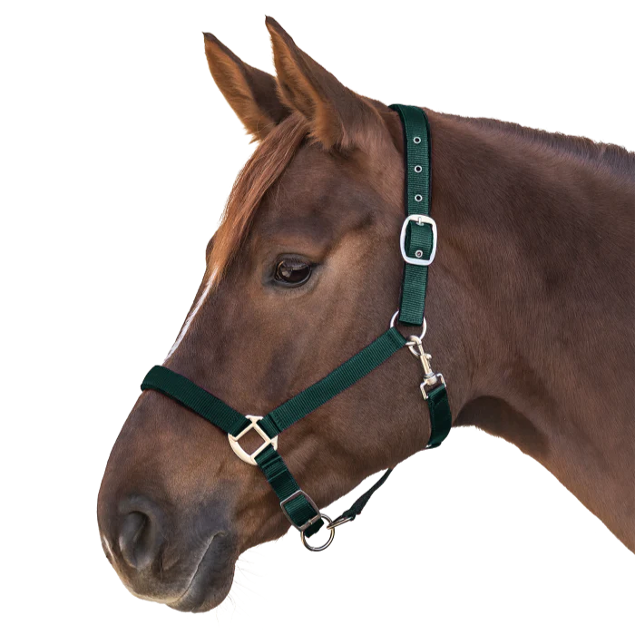 Waldhausen Satin Perlon Halter - Image 7