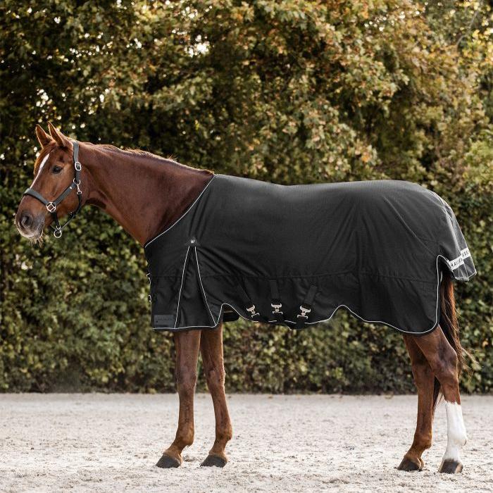 Waldhausen Scandic 100g Turnout Rug